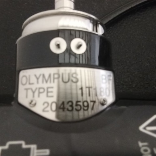 Olympus BF-1T180 Bronchoscope