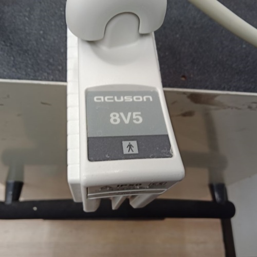 Acuson 8V5 Ultrasound Probe