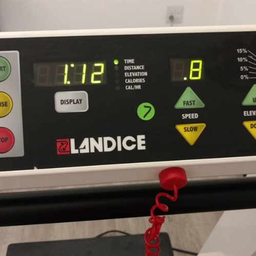 Landice 17 RT Treadmill 
