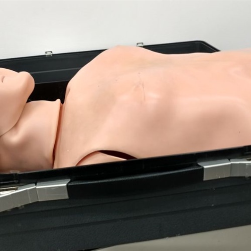 Lot of 2 - Laerdal Resusci  Junior & Anne Adult Torso CPR Training Manikins w/ Case