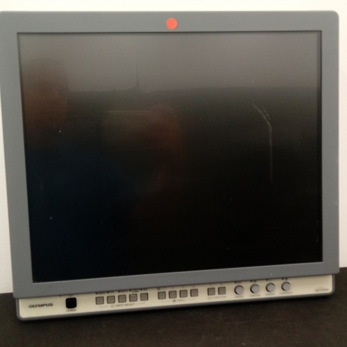 Olympus LCD Monitor (OEV191H)