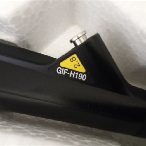 Olympus GIF-H190 Gastroscope 