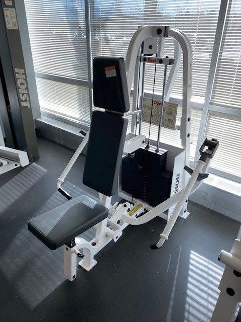 Chest and Shoulder Fly Machine | Auction 11200