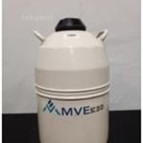 MVE SC 20/20 10725451 Cryogenic Liquid Nitrogen Storage Container / Cryo Tank (298915)