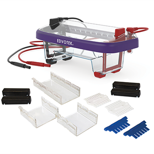 M12 Complete Electrophoresis Package